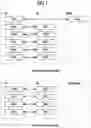 Fig. 02 - Method for performing random access procedure and apparatus therefor