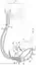 Fig. 03 - Wireless connection to peripheral device based on advertisement cadence