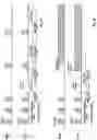 Fig. 12 - Technologies for controlling discontinuous reception operation