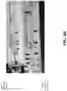Fig. 08 - Optical and mechanical manipulation of light emitting diode (LED) lighting systems