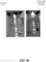 Fig. 09 - Optical and mechanical manipulation of light emitting diode (LED) lighting systems