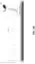 Fig. 10 - Luminaire and duplex sound integration