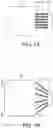 Fig. 09 - Flexible printed circuit film and stretchable display device including the same