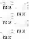 Fig. 04 - Printed Wire Board Stand-offs