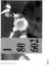 Fig. 04 - Strawberry cultivars