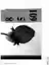 Fig. 123 - Strawberry cultivars