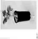 Fig. 128 - Strawberry cultivars