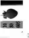 Fig. 303 - Strawberry cultivars