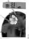 Fig. 334 - Strawberry cultivars