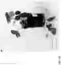 Fig. 371 - Strawberry cultivars