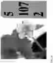 Fig. 40 - Strawberry cultivars