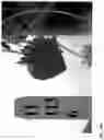 Fig. 450 - Strawberry cultivars