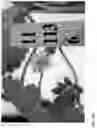 Fig. 451 - Strawberry cultivars