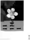 Fig. 457 - Strawberry cultivars