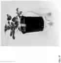 Fig. 98 - Strawberry cultivars