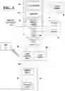 Fig. 04 - System and method for dispensing agricultural products