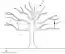 Fig. 01 - SUPPORTING STRUCTURE FOR FRUIT TREE BRANCH