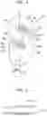 Fig. 05 - SUPPORTING STRUCTURE FOR FRUIT TREE BRANCH