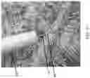 Fig. 12 - Apparatus for applying a liquid and method of use