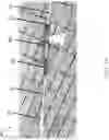 Fig. 14 - Apparatus for applying a liquid and method of use
