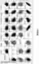 Fig. 02 - Yield traits for maize