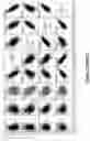 Fig. 03 - Yield traits for maize