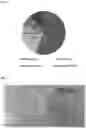 Fig. 02 - Inoculants and methods for use thereof