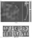 Fig. 06 - Genetic system for promoting recombination and gene transfer in wheat