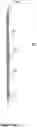 Fig. 06 - Animal Restraint System