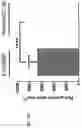 Fig. 08 - METHODS OF A DROSOPHILA MODEL FOR CHRONIC MYELOID LEUKEMIA (CML) TREATMENT
