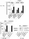 Fig. 23 - METHODS OF A DROSOPHILA MODEL FOR CHRONIC MYELOID LEUKEMIA (CML) TREATMENT