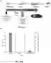 Fig. 31 - METHODS OF A DROSOPHILA MODEL FOR CHRONIC MYELOID LEUKEMIA (CML) TREATMENT