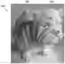 Fig. 01 - PEST DETERRENT AND/OR ALERT ASSISTANT DEVICE