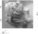 Fig. 02 - PEST DETERRENT AND/OR ALERT ASSISTANT DEVICE