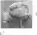 Fig. 03 - PEST DETERRENT AND/OR ALERT ASSISTANT DEVICE