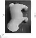Fig. 04 - PEST DETERRENT AND/OR ALERT ASSISTANT DEVICE