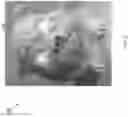 Fig. 06 - PEST DETERRENT AND/OR ALERT ASSISTANT DEVICE