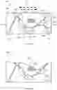 Fig. 06 - Long-lasting disinfestation article and method of manufacture thereof