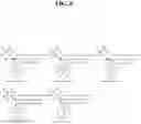 Fig. 09 - HERBICIDAL COMPOSITIONS AND METHODS OF USE THEREOF