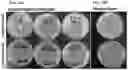 Fig. 11 - HERBICIDAL COMPOSITIONS AND METHODS OF USE THEREOF