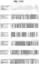 Fig. 20 - HERBICIDAL COMPOSITIONS AND METHODS OF USE THEREOF