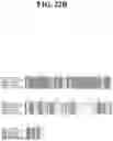 Fig. 25 - HERBICIDAL COMPOSITIONS AND METHODS OF USE THEREOF