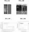 Fig. 33 - HERBICIDAL COMPOSITIONS AND METHODS OF USE THEREOF