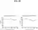 Fig. 37 - HERBICIDAL COMPOSITIONS AND METHODS OF USE THEREOF