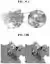 Fig. 40 - HERBICIDAL COMPOSITIONS AND METHODS OF USE THEREOF