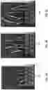 Fig. 04 - Plant growth regulator compositions and methods of using same