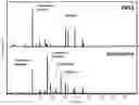 Fig. 01 - FOODSTUFF PRODUCTS, INGREDIENTS, PROCESSES AND USES