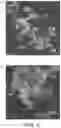 Fig. 05 - Method of producing a food or beverage product with free divalent cations protein aggregation