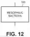 Fig. 08 - METHOD FOR PREPARATION OF HYPOALLERGENIC PLANT-BASED SUBSTRATE FOR CULTURED AND NON-CULTURED FOOD PRODUCTS