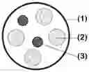 Fig. 01 - EDIBLE NUTRITION SYSTEM, METHOD OF PREPARATION AND USE THEREOF